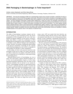 DNA Packaging in Bacteriophage: Is Twist Important?
