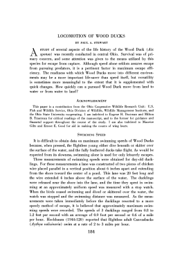 LOCOMOTION OF WOOD DUCKS