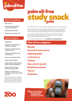 Palm oil-free study snack guide