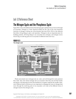 Lab 12 Reference Sheet The Nitrogen Cycle