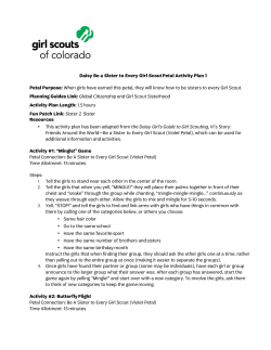 Daisy Be a Sister to Every Girl Scout Petal Activity Plan 1 Petal