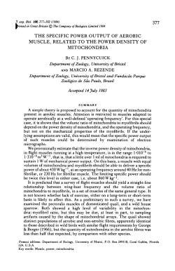 the specific power output of aerobic muscle, related to the power