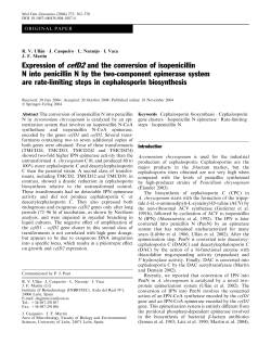 Expression ofcefD2and the conversion of isopenicillin N into