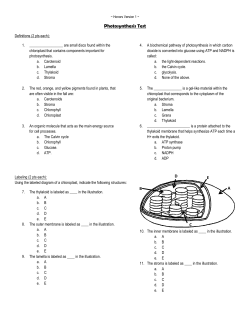 Photosynthesis Test