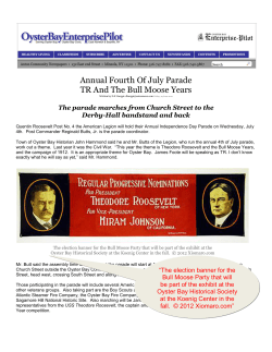 Annual Fourth Of July Parade TR And The Bull Moose Years