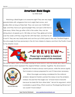 American Bald Eagle - Super Teacher Worksheets