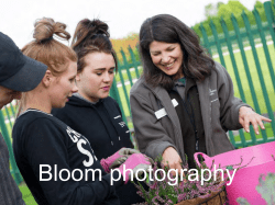 RHS Britain in Bloom: Photography Presentation