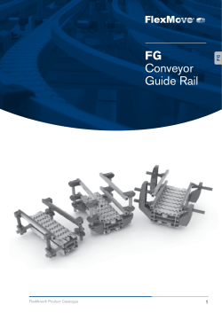 FG Conveyor Guide