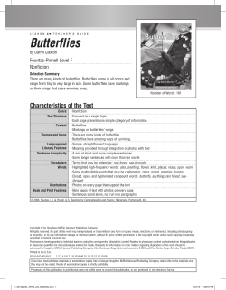 24 Butterflies - Houghton Mifflin Harcourt