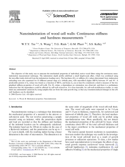 Nanoindentation of wood cell walls: Continuous stiffness and