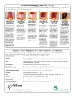 Wound Assessment Card - Mission Health Concepts