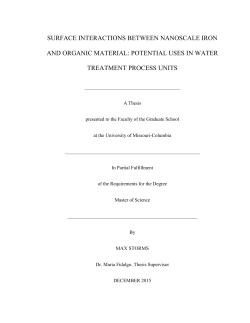 SURFACE INTERACTIONS BETWEEN NANOSCALE IRON AND