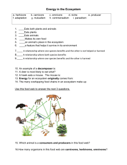 Energy in the Ecosystem
