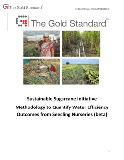Sustainable Sugarcane Initiative (SSI) Methodology