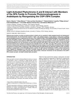 Light-Activated Phytochrome A and B Interact with