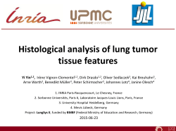 Histological analysis of lung tumor tissue features Yi Yin1,2