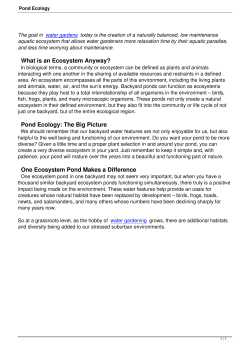 Pond Ecology - Neptune`s Water Gardens