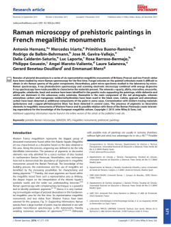 Raman microscopy of prehistoric paintings in French megalithic