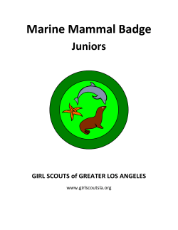 Marine Mammal Badge for Juniors