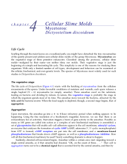 chapter Cellular Slime Molds