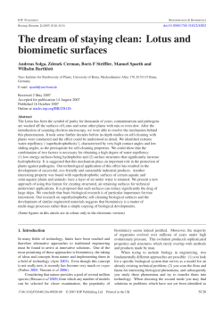 The dream of staying clean: lotus and biomimetic surfaces