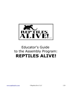 Teacher`s Guide - Reptiles Alive