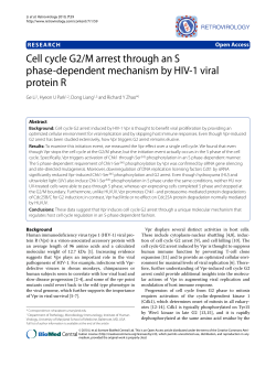 Cell cycle G2/M arrest through an S phase