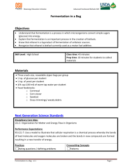 Fermentaion in a Bag Activity - Advanced Hardwood Biofuels