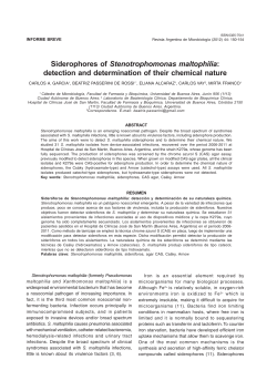 Siderophores of Stenotrophomonas maltophilia