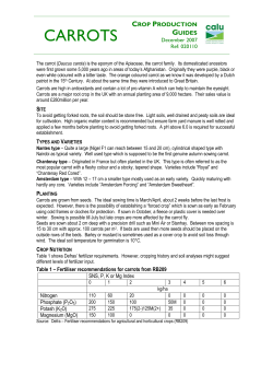 Carrots - CALU Centre for Alternative Land Use