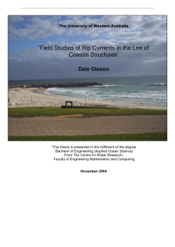Field Studies of Rip Currents in the Lee of Coastal Structures