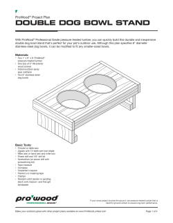 ProWood Double Dog Bowl Stand Project Plan