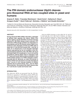 The PIN domain endonuclease Utp24 cleaves pre