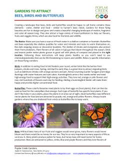 PCG Gardening &ndash; Birds, Bees, Butterflies