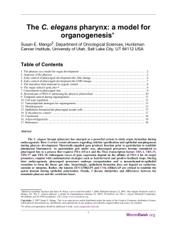 The C. elegans pharynx: a model for organogenesis