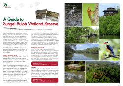 Sungei Buloh Wetland Reserve