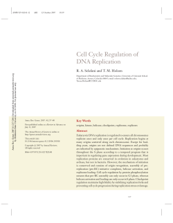 Cell Cycle Regulation of DNA Replication