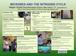 microbes and the nitrogen cycle