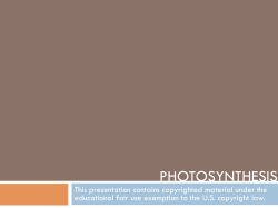 photosynthesis - The Biology Primer