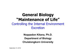 109 Maintenance 10-11