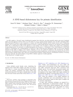 A SINE-based dichotomous key for primate