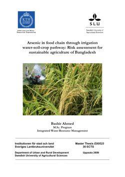 Arsenic in food chain through irrigation water-soil
