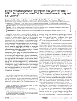 Serine Phosphorylation of the Insulin-like Growth Factor I (IGF