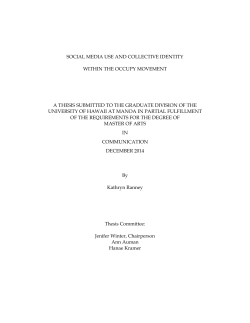 social media use and collective identity within the occupy movement