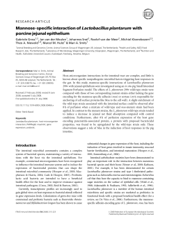Mannose-specific interaction of Lactobacillus plantarum with porcine