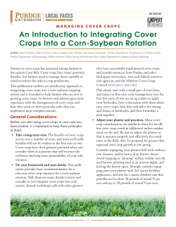 An Introduction to Integrating Cover Crops Into a Corn