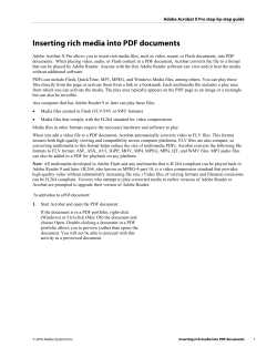 insert rich media PDF
