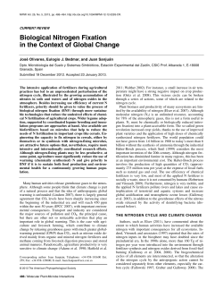 Biological Nitrogen Fixation in the Context of Global