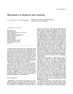 Mechanics of Skeleton and Tendons. In: Comprehensive