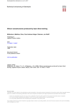 Silicon nanostructures produced by laser direct etching